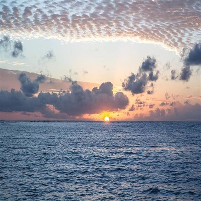 Holiday Cottage Thoddoo, Maldives Dış mekan fotoğraf