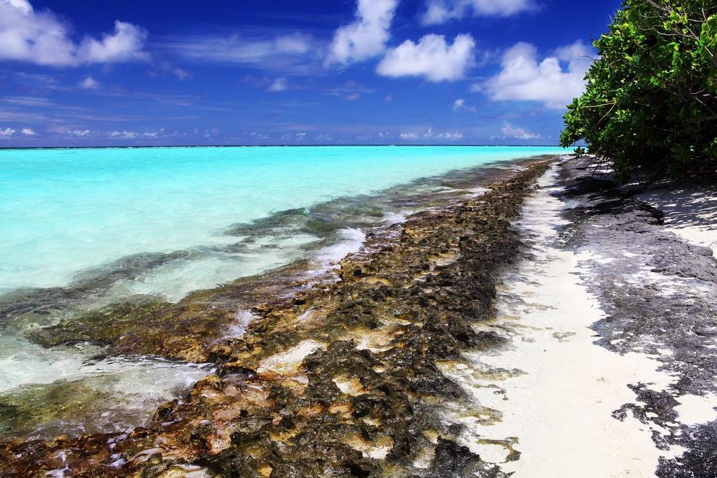 Holiday Cottage Thoddoo, Maldives Dış mekan fotoğraf