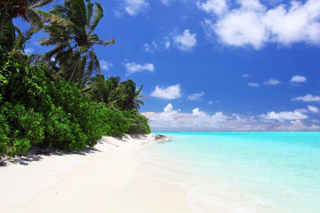 Holiday Cottage Thoddoo, Maldives Dış mekan fotoğraf