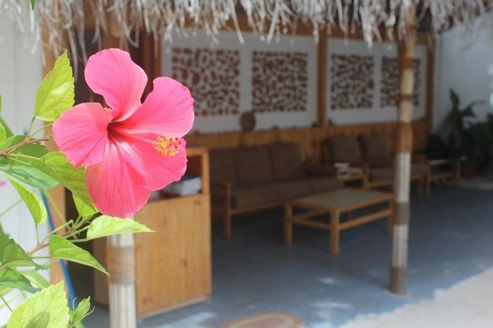 Holiday Cottage Thoddoo, Maldives Dış mekan fotoğraf